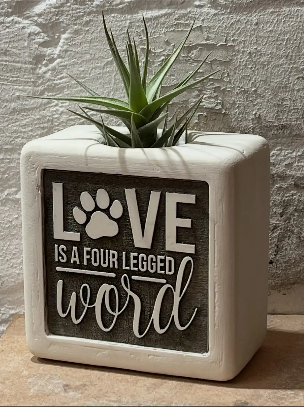 Pawsome Pot (Four Legged Word Edition) — handcrafted concrete by Techcrete