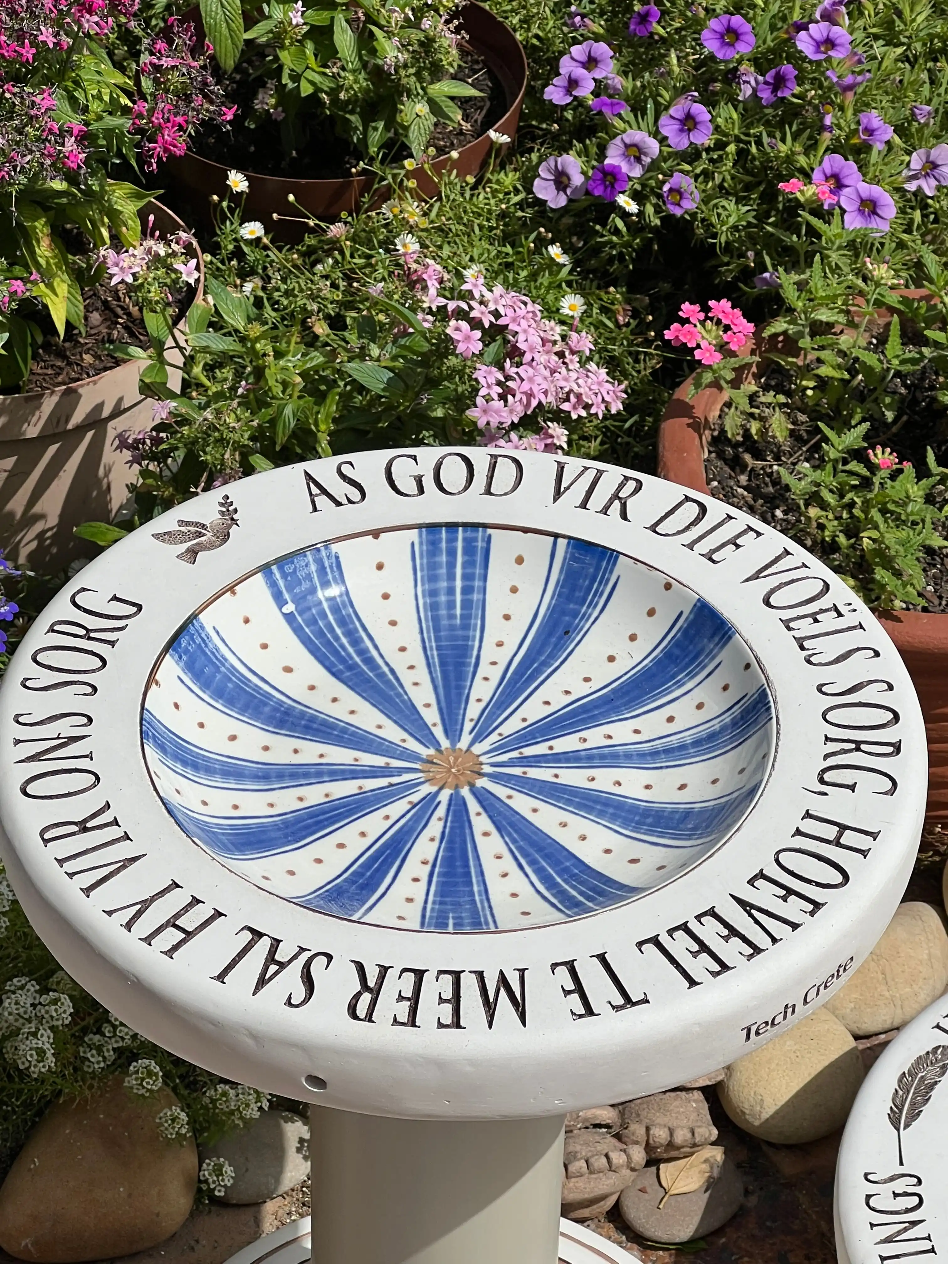As God vir die voëls sorg, hoeveel te meer sal Hy vir ons sorg — view 4