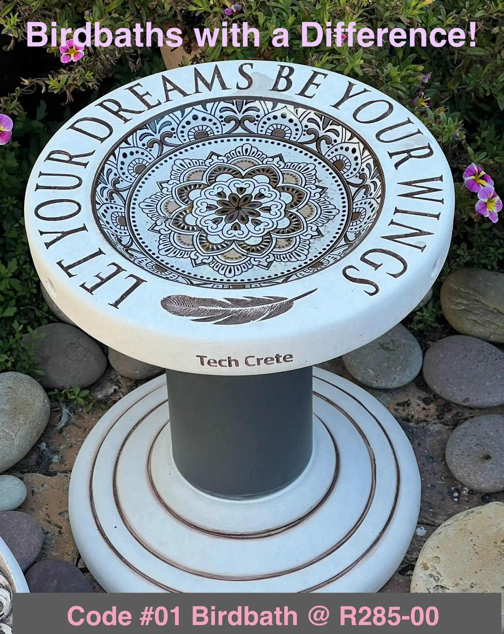 Let your dreams be your wings — view 6