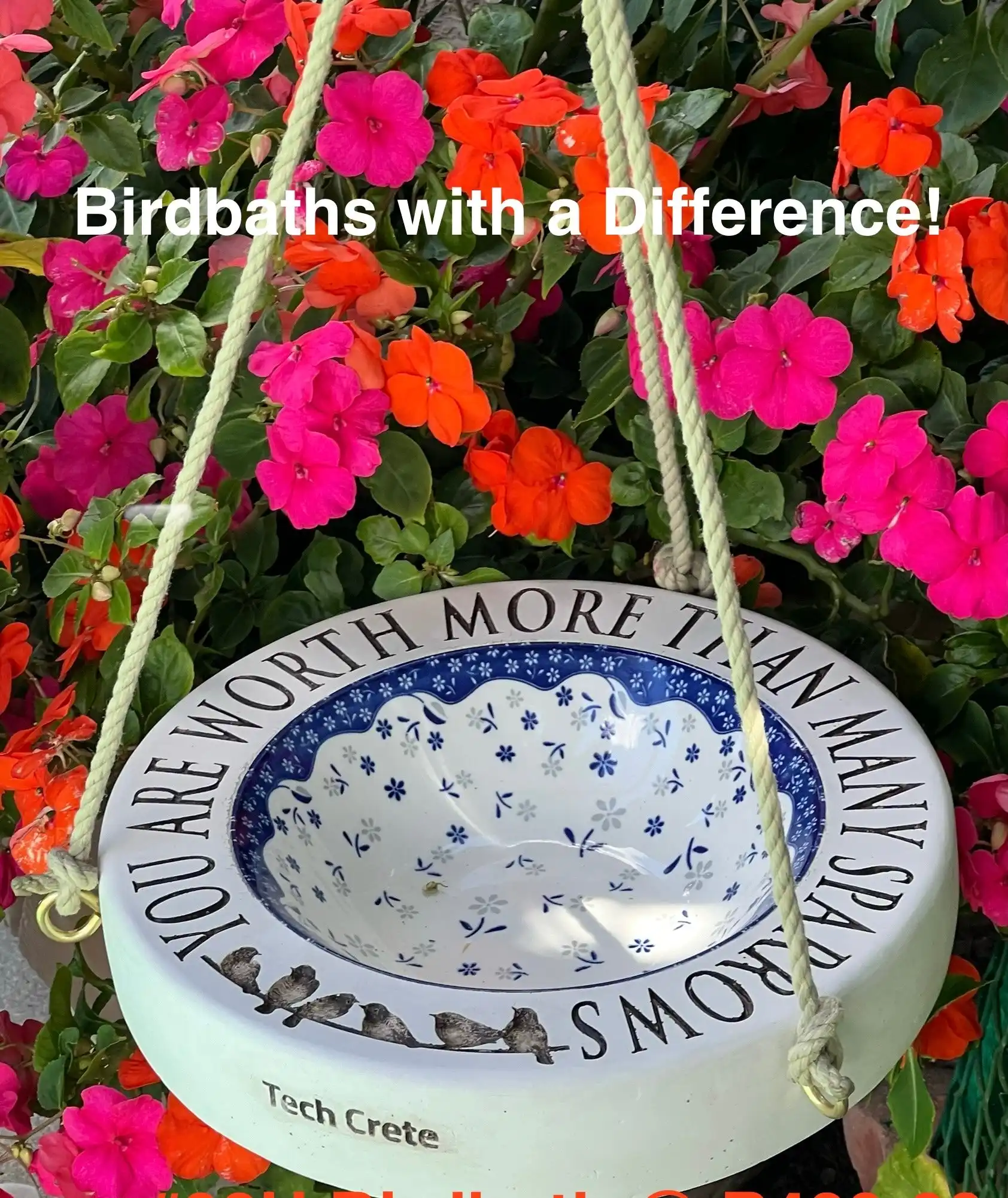 You are worth more than many Sparrows — view 11